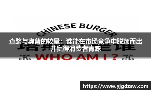 查路与奥普的较量：谁能在市场竞争中脱颖而出并赢得消费者青睐